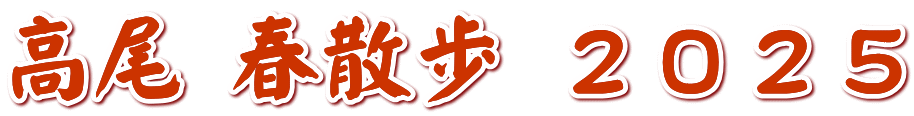 高尾 春散歩 ２０２５