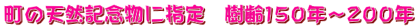 町の天然記念物に指定　樹齢１５０年～２００年
