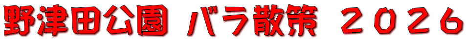 野津田公園 バラ散策 ２０２６