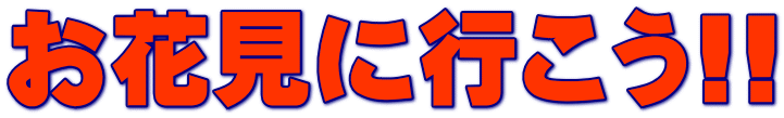 お花見に行こう!!