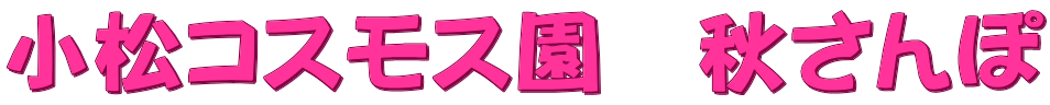 小松コスモス園　秋さんぽ