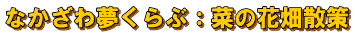 なかざわ夢くらぶ：菜の花畑散策