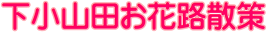 下小山田お花路散策