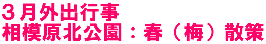 ３月外出行事 相模原北公園：春（梅）散策