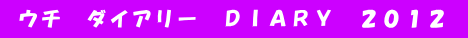  ウチ　ダイアリー　ＤＩＡＲＹ　２０１２ 