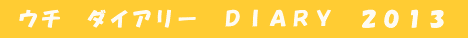  ウチ　ダイアリー　ＤＩＡＲＹ　２０１３ 