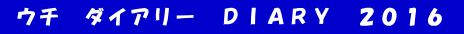  ウチ　ダイアリー　ＤＩＡＲＹ　２０１６ 
