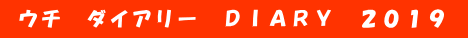 ウチ　ダイアリー　ＤＩＡＲＹ　２０１９ 