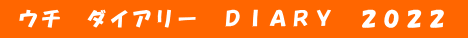  ウチ　ダイアリー　ＤＩＡＲＹ　２０２２ 