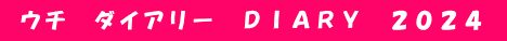  ウチ　ダイアリー　ＤＩＡＲＹ　２０２４ 