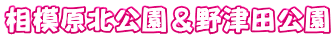 相模原北公園＆野津田公園