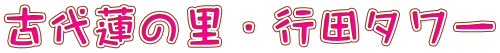 古代蓮の里・行田タワー