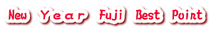 New�@�x�������@Fuji�@Best�@Point