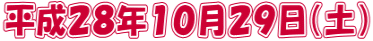 平成２８年１０月２９日（土）