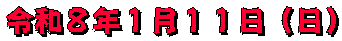 令和８年１月１１日（日）