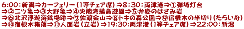 6:00：新潟⇒カーフェリー（1等チェア席）⇒8：30：両津港⇒①弾埼灯台 ⇒②二ツ亀⇒③大野亀⇒④尖閣湾揚島遊園⇒⑤弁慶のはさみ岩 ⇒⑥北沢浮遊選鉱場跡⇒⑦佐渡金山⇒⑧トキの森公園⇒⑨宿根木の半切り（たらい舟） ⇒⑩宿根木集落⇒⑪人面岩（立岩）⇒19:30:両津港（1等チェア席）⇒22:00：新潟