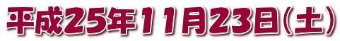 平成２５年１１月２３日（土）