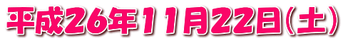 平成２６年１１月２２日（土）