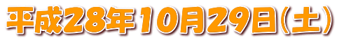 平成２８年１０月２９日（土）