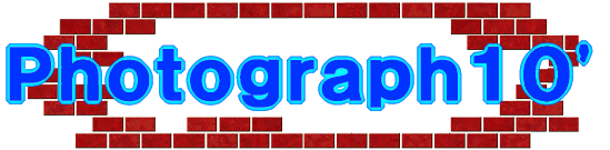 �o�������������������O�X