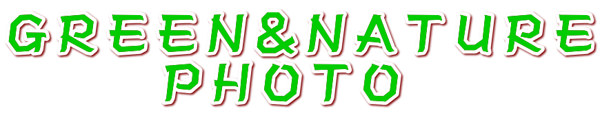 �f�q�d�d�m���m�`�s�t�q�d �@�@�@�o�g�n�s�n