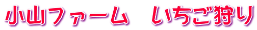 小山ファーム　いちご狩り