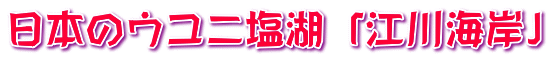 日本のウユニ塩湖「江川海岸」